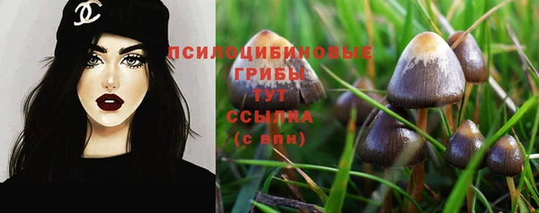 spice Кукмор