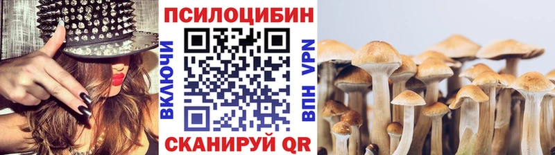 Галлюциногенные грибы Cubensis  Купить  Поворино 
